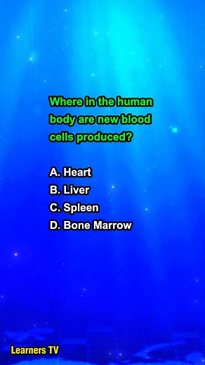 4.7K views · 43 reactions | Where in the human body are new blood cells produced? #learnerstv #education #learning | Learners TV | Facebook