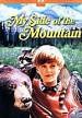 Film My Side of the Mountain (1969) online ke shlédnutí