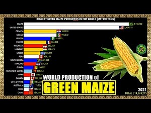 BIGGEST GREEN MAIZE PRODUCERS IN THE WORLD