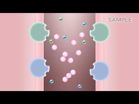 タンパク質の代謝