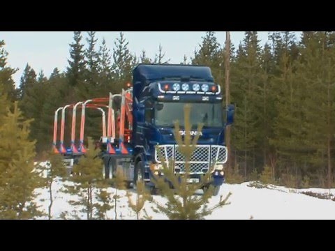 ExTe Com90 automatic load restraint