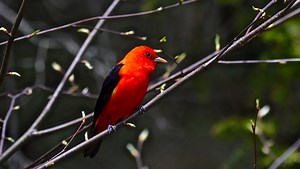 Rick Marsi column: Float on: All's right on season's first water excursion