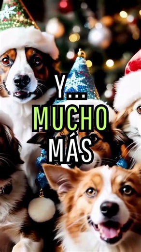 Diciembre...llega con tutti