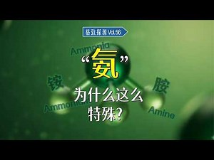 “氨”为何这么特殊？为什么要专门分出“氨、铵、胺”？