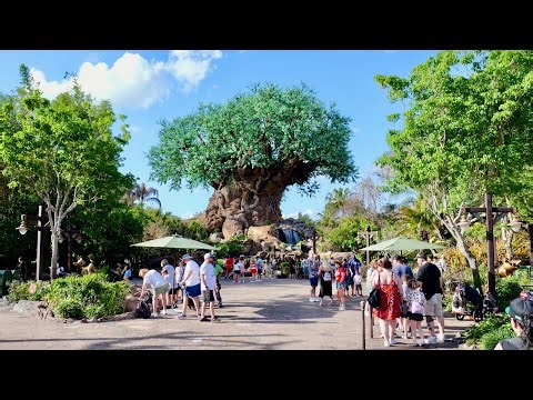 Disney's Animal Kingdom 2026 Fast Afternoon Walkthrough Tour in 4K | Walt Disney World April 2026