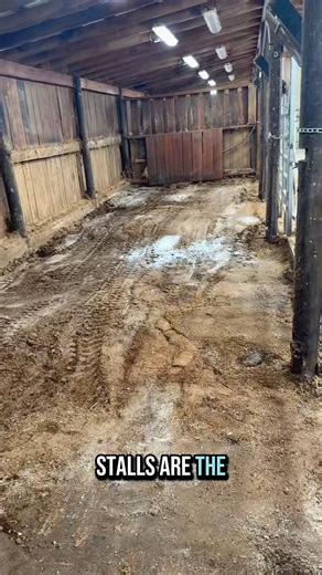 1M views · 47K reactions | Barn Reno Update | Katie Van Slyke | Facebook