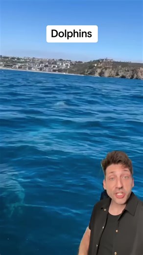 Exploring the Intelligence of Dolphins