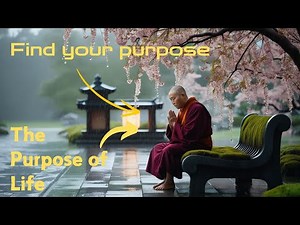 What Is Your Purpose? | Find Your Purpose In This World | Zen Motivation