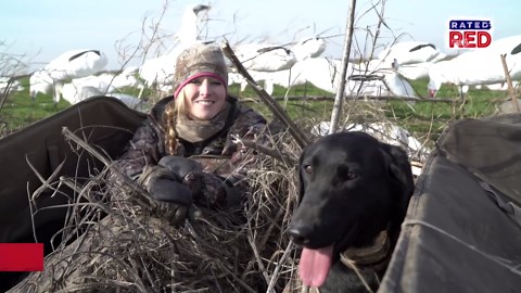 Why Bird Dogs Are the Hunter’s Best Companion Ever