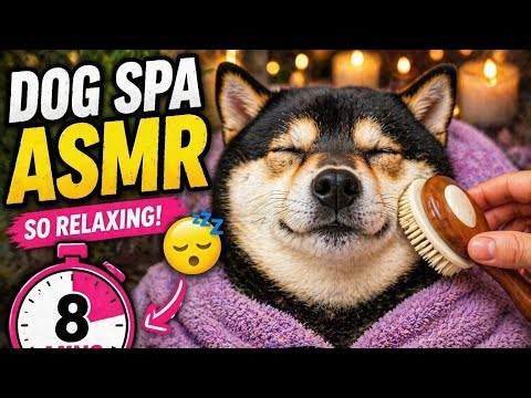 This Dog Spa ASMR Will Relax You in 8 Minutes 🐶💤 (Instant Calm!)