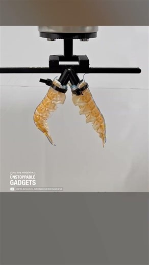 These grippers are made from food waste