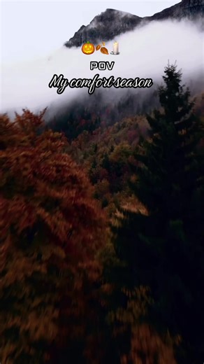 Embrace the Fall Aesthetic: Cozy Vibes Await