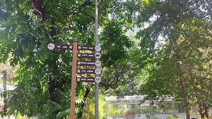 Park Animal Directional Sign in a Zoo. Information signs show the way to different animals at the zoo. Directional Pole in the zoo informs about animals.