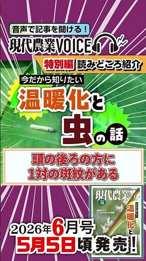 ヨトウムシ類、見た目は似てるけど意外と違う【現代農業VOICE】