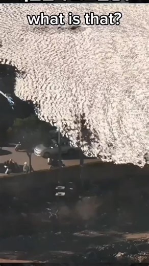 Matrixausfälle und Mystik: Entdeckungen im Horrorbereich