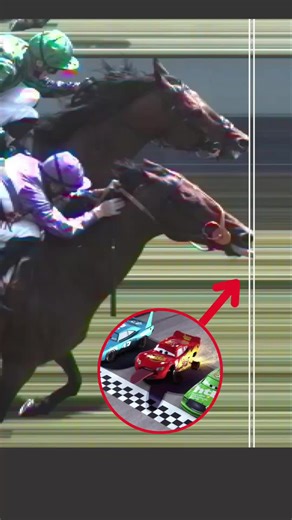 Cars (2006) was a documentary 😂😛 #paardplaats #horseracing #memehorses #disneycars #lightningmcqueen