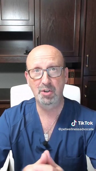 Why Do Cats Drool? Understanding the Reasons Behind Cat Drooling