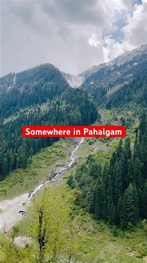 Lost in Pahalgam 🏔️ | Beautiful Valleys of Kashmir You Must See