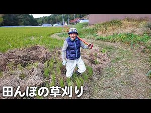 Country Living in Japan: A Peaceful Life at 70