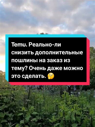 Как снизить пошлины и налог на заказ с Temu — реально ли не платить?