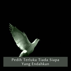 Panji - Sayap Terluka (Lyrics) | Peminat Lagu Rock