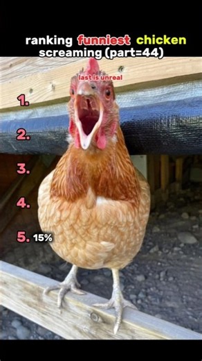 ranking funniest chicken🐓 screaming (part=44) #shorts #funny
