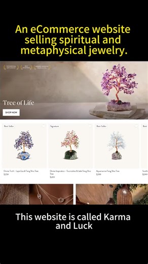 Why This Spiritual E-commerce Brand Thrives Without Heavy Paid Advertising This brand proves that strong positioning can outperform ads. By focusing on spiritual symbolism and emotional storytelling, it generates over $16 million in yearly revenue with minimal paid marketing. Nearly half of its traffic comes from direct visits and organic search, supported by offline retail stores across major U.S. cities. The result is high trust, steady conversion, and long-term brand value. This model shows h
