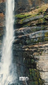 🔥 ABSEILING ADVENTURE – LAKSHAPANA WATERFALL 🔥 Ready for a real adventure in nature? Join The Marvel Sri Lanka for an exciting Abseiling experience at the breathtaking Lakshapana Waterfall 🌊💪 📅 Date: January 10 and 11 📍 Location: Lakshapana Waterfall 💰 Local Rate: LKR 18,000 per person (Without Transport) 💰 Local Rate: LKR 23,000 per person (With Transport) 💰 Foreign Rate: LKR 20,250 per person (Without Transport) 💰 Foreign Rate: LKR 25,250 per person (With Transport) 📅 Date: January 