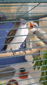 4.5K views · 214 reactions | ☀Several weeks ago, on a warm, breezy...