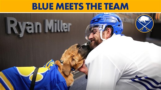 Blue Meets The Team