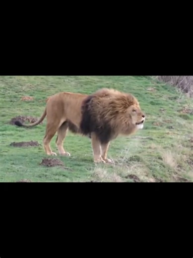 My Gods NOT Dead #Hes #truly #alive