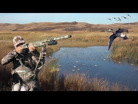 One of the Best Duck Hunts of My Life! 4 Man Limit of Big Ducks!