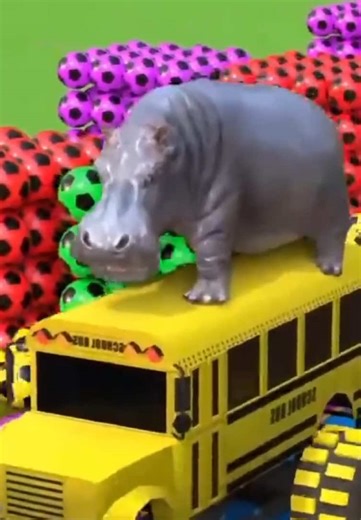 Cute Animals in 3D: Fun Cartoons for Kids