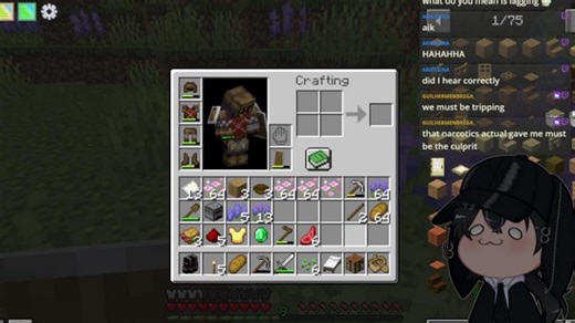 Joining a minecraft server