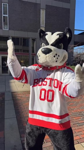 Boston University Undergraduate Admissions on Instagram: "ED1 applicants‼️ Decisions have been RELEASED and are available on your MyBU portal! Welcome #BU2030!!🐾"