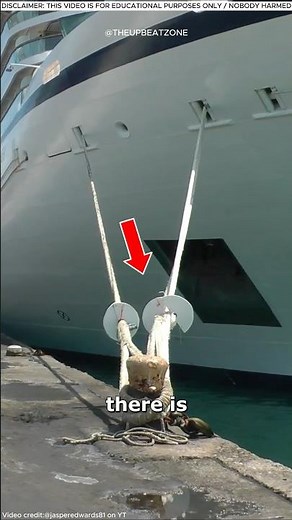 The Ingenious Device That Keeps Rats Off Ships! 🐀 | Rat Guards