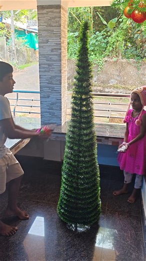 🎄 Quick and Easy Christmas Tree Setup 2025🎄