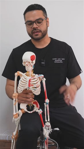 Activforce 2, una forma de evaluar precisa para tus dolencias cervicales #quiropraxia #cervicalgia #torticolis #malapostura | Quiroprácticoávila