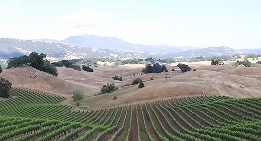 Alexander Valley Estate | Scenic Jordan Vineyard & Winery