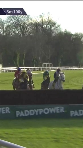 Will it be a third straight Savills Chase win for Galopin Des Champs? Watch the Leopardstown feature live on Racing TV 📺 | Racing TV