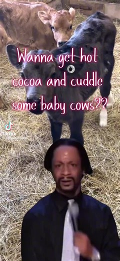 🥰Samantha🥰 (@firefightersam14)’s videos with original sound - 🥰Samantha🥰