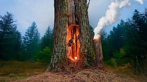 17K views · 276 reactions | Building a Warm Secret Shelter Deep Inside a Great Oak Tree, Clay Oven ==== Full Video Comment   | Bushcraft Construction Technology | Facebook