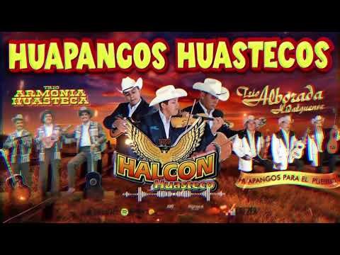 Huapango Huasteco Viejo y Bonito | Trío Halcón, Armonía, Alborada , Los Camperos, Los Auténticos