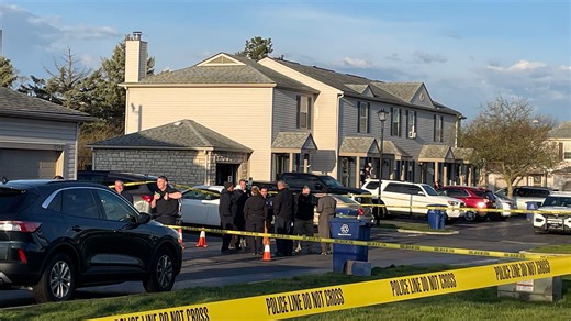 Columbus man who fatally stabbed brother and neighbor found legally insane, hospitalized