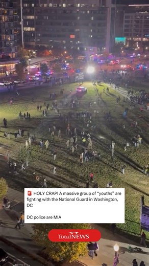 74K views · 656 reactions | Follow Total News for more! | Total News | Facebook