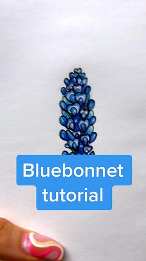 Step-by-Step Bluebonnet Drawing Tutorial | Learn How to Draw Blue Bonnets Easily!