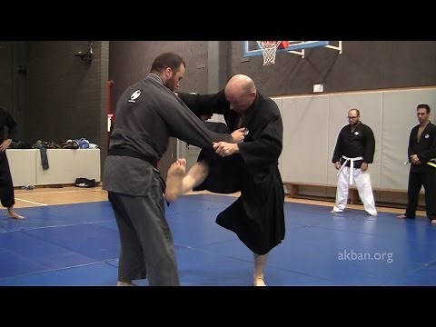 Ninjutsu kicks against MMA and Judo holds - Yossi Sheriff