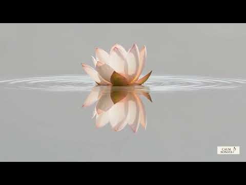 Bach – Concerto No. 3 in D Major: Adagio | 1 Hour Meditative Calm