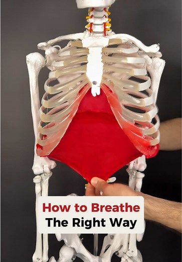 Improve Breathing with Effective Mobility Techniques
