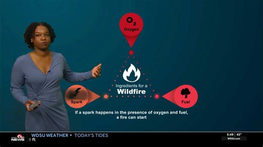 Impact Day: Dense smoke advisory, red flag warning as dry, windy conditions continue in southeast Louisiana